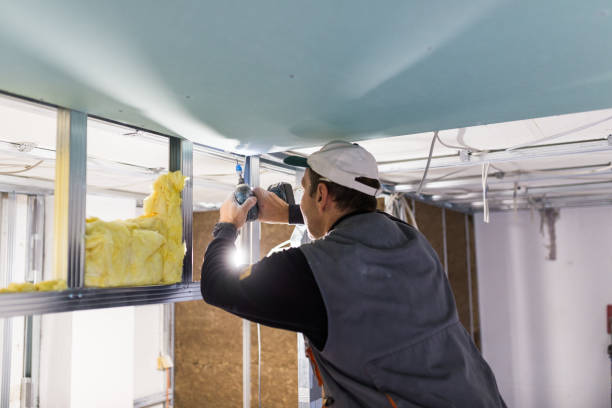 Best Geographic-Specific Insulation Services in Idabel, OK