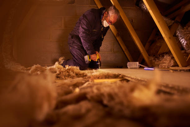Best Cellulose Insulation in Idabel, OK